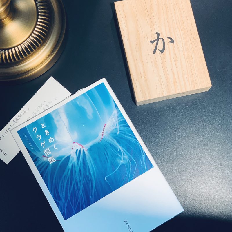 峯水亮『ときめくクラゲ図鑑』(山と渓谷社)