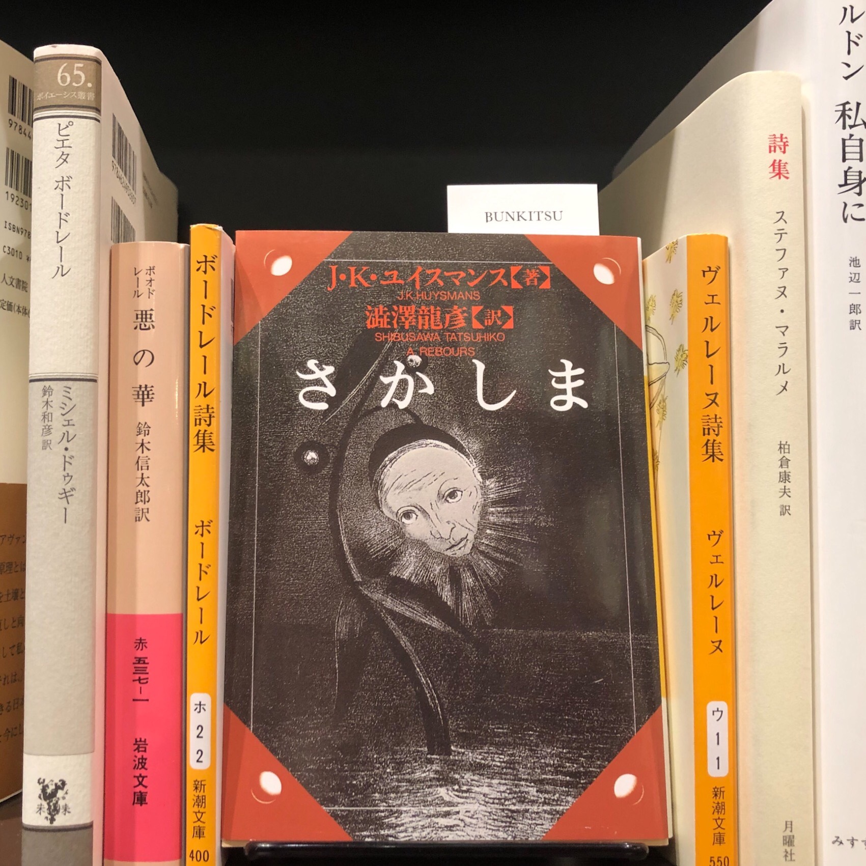 J.K. ユイスマンス『さかしま』（河出書房新社）