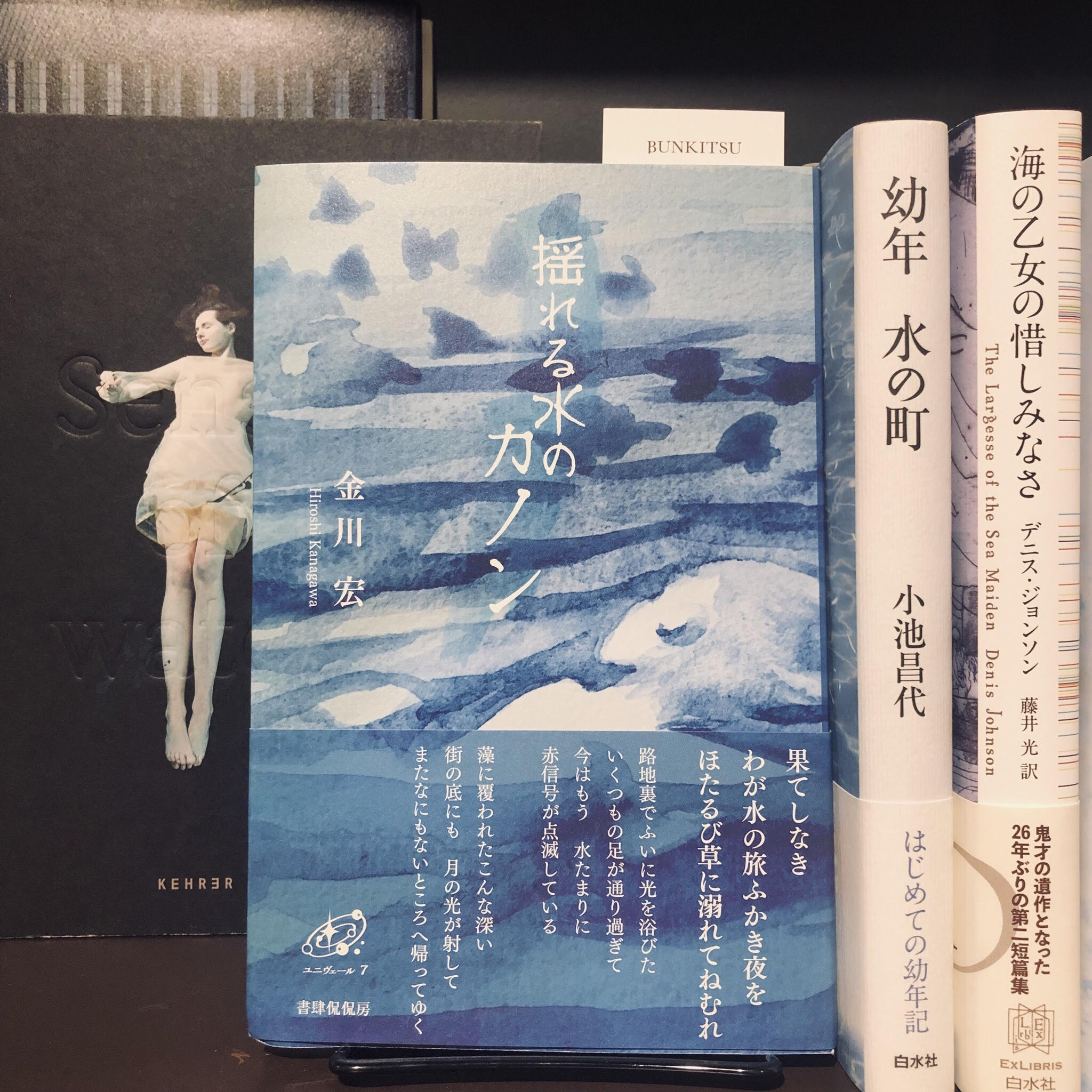 金川宏『揺れる水のカノン』(書肆侃侃房)