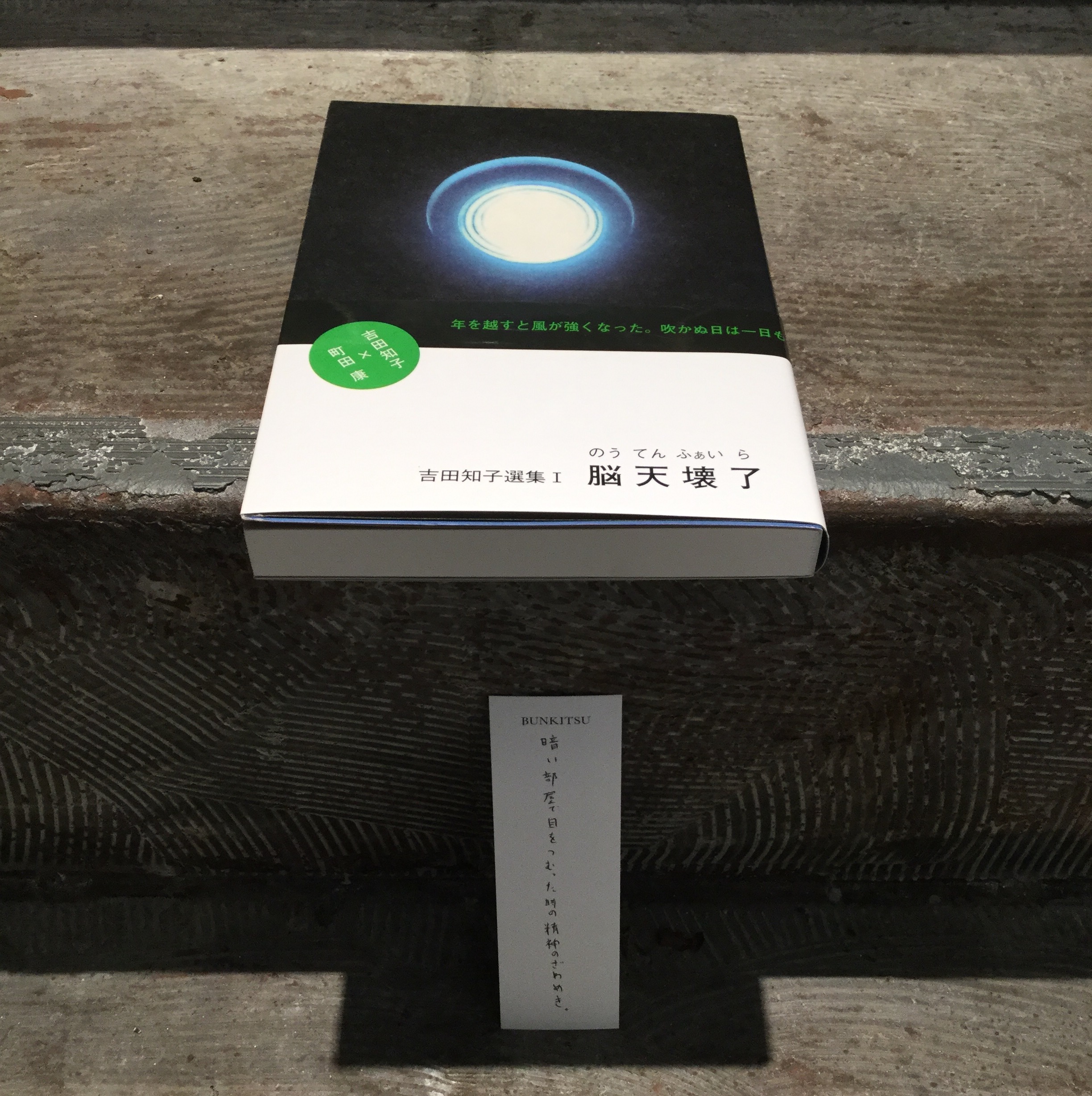 吉田知子『脳天壊了』(景文館書店)