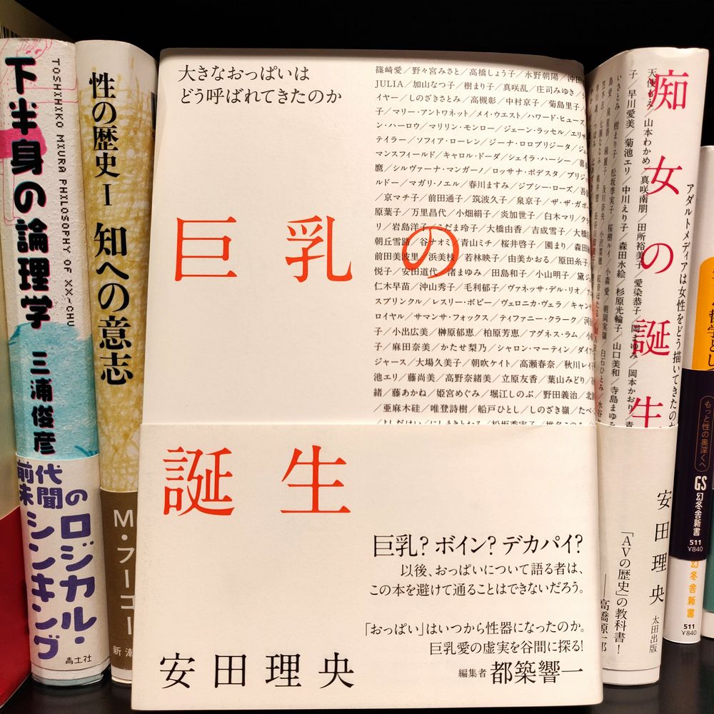 安田理央『巨乳の誕生』(太田出版)