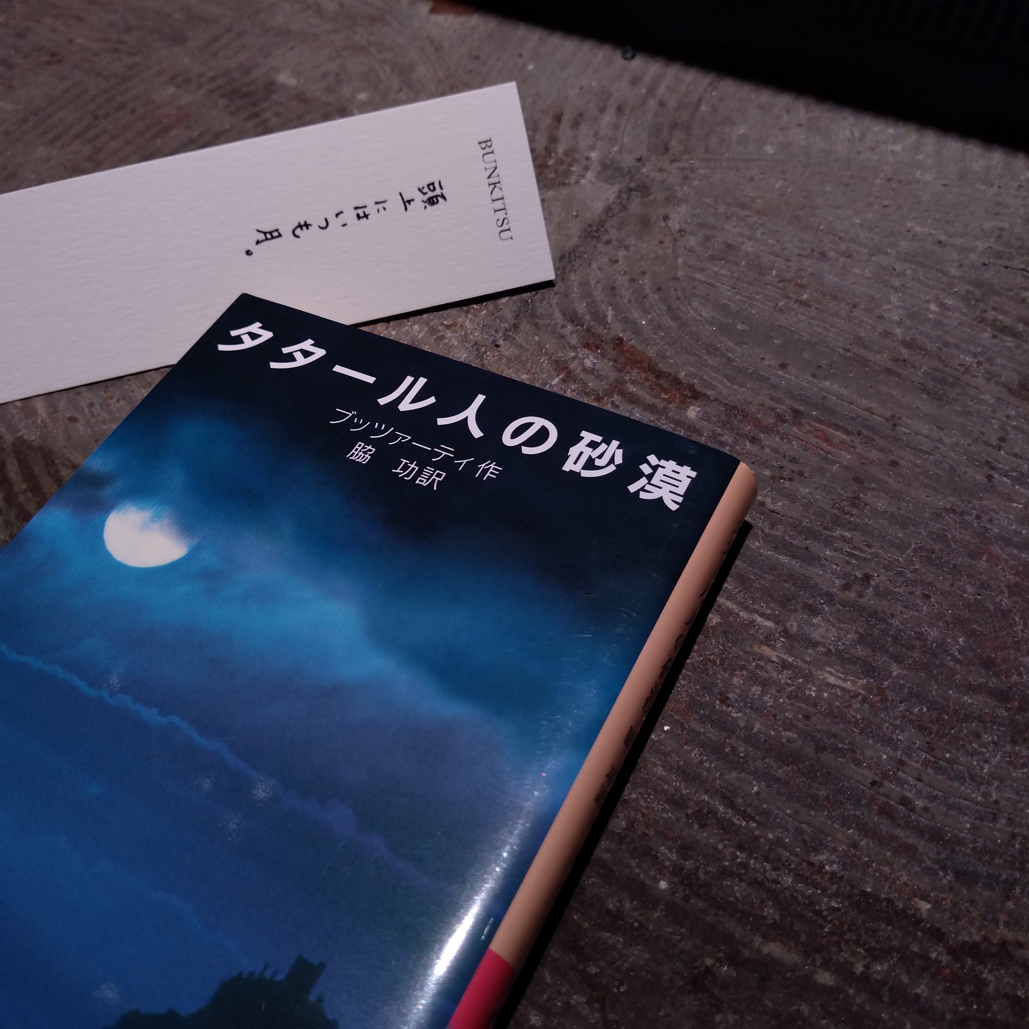ブッツァーティ『タタール人の砂漠』(岩波書店)