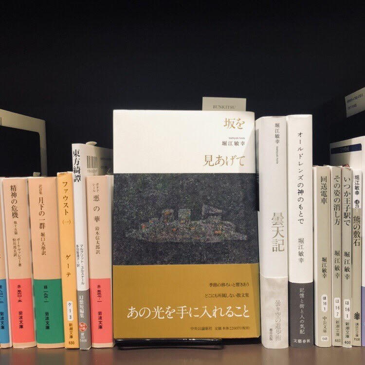 堀江敏幸『坂を見あげて』(中央公論新社)