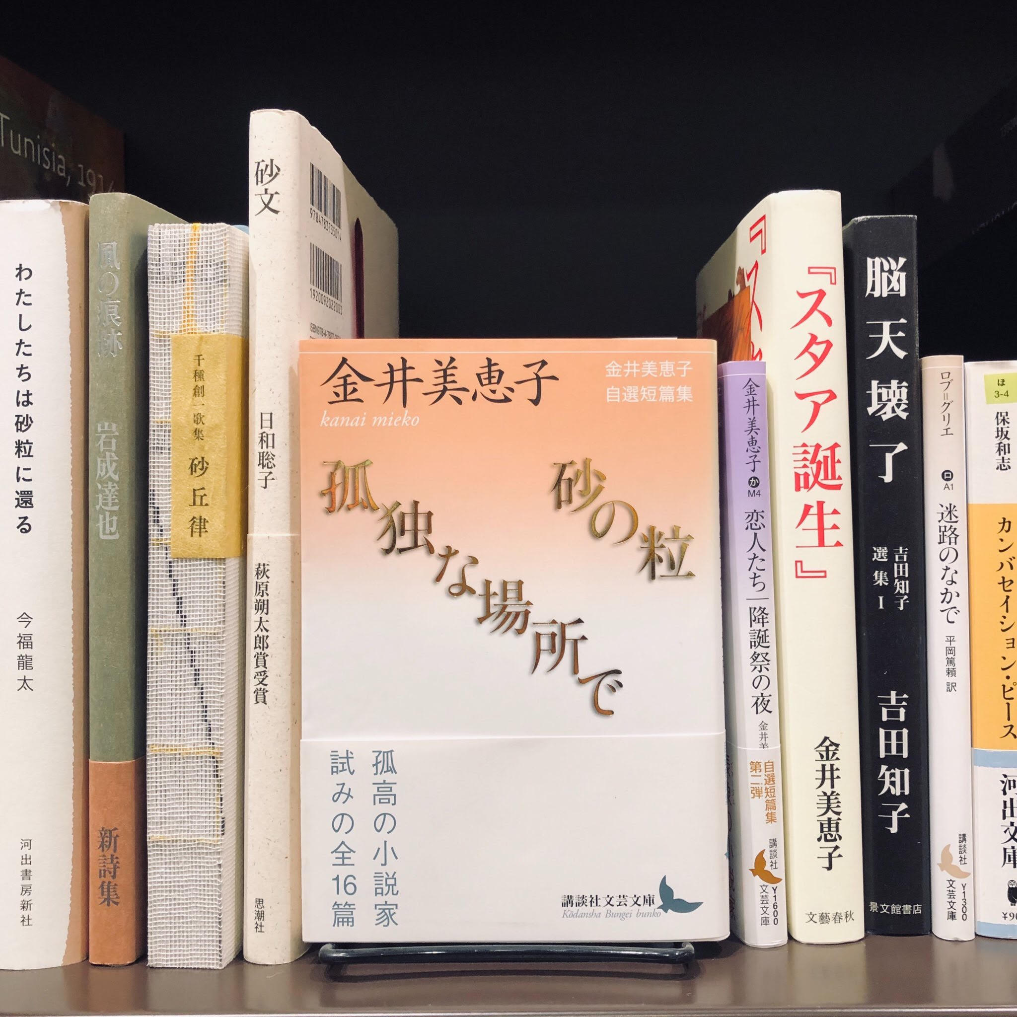 金井美恵子『砂の粒|孤独な場所』(講談社文芸文庫)